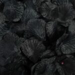 Черни листенца